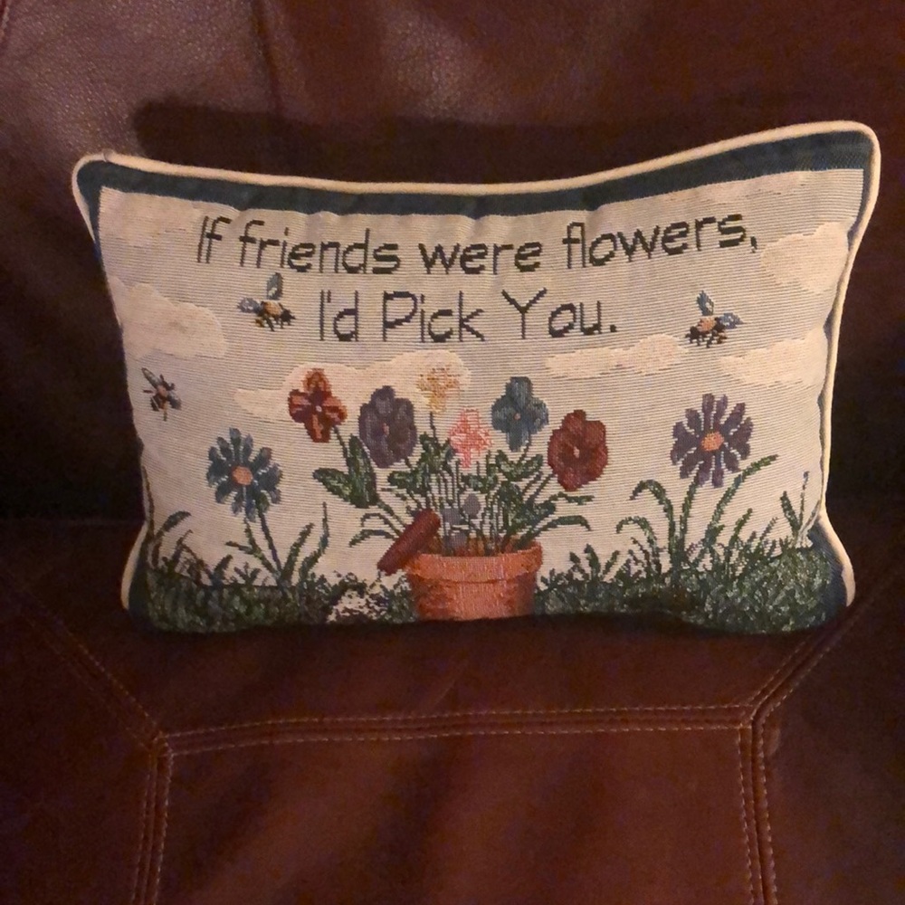Friends Pillow